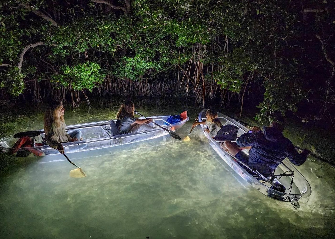 Anna Maria Island - Clear Kayak LED Night Glass Bottom Tour